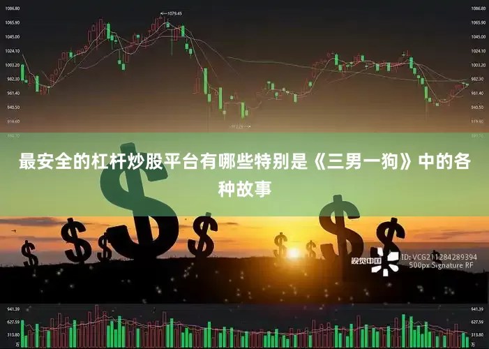 最安全的杠杆炒股平台有哪些特别是《三男一狗》中的各种故事