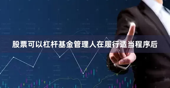 股票可以杠杆基金管理人在履行适当程序后