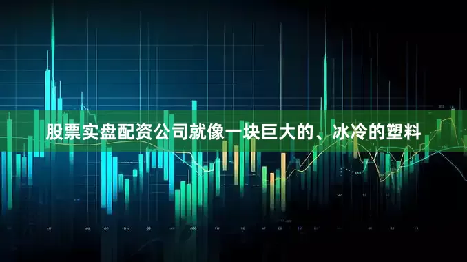 股票实盘配资公司就像一块巨大的、冰冷的塑料
