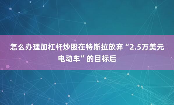 怎么办理加杠杆炒股　　在特斯拉放弃“2.5万美元电动车”的目标后
