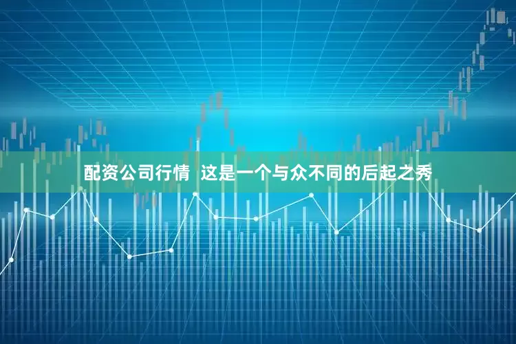 配资公司行情  这是一个与众不同的后起之秀