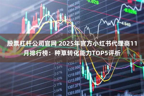 股票杠杆公司官网 2025年官方小红书代理商11月排行榜：种草转化能力TOP5评析