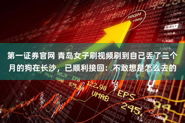 第一证券官网 青岛女子刷视频刷到自己丢了三个月的狗在长沙，已顺利接回：不敢想是怎么去的