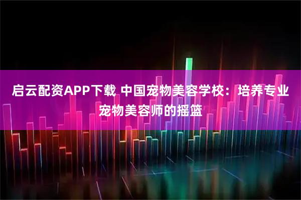 启云配资APP下载 中国宠物美容学校：培养专业宠物美容师的摇篮