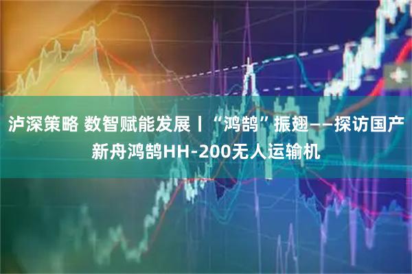 泸深策略 数智赋能发展丨“鸿鹄”振翅——探访国产新舟鸿鹄HH-200无人运输机
