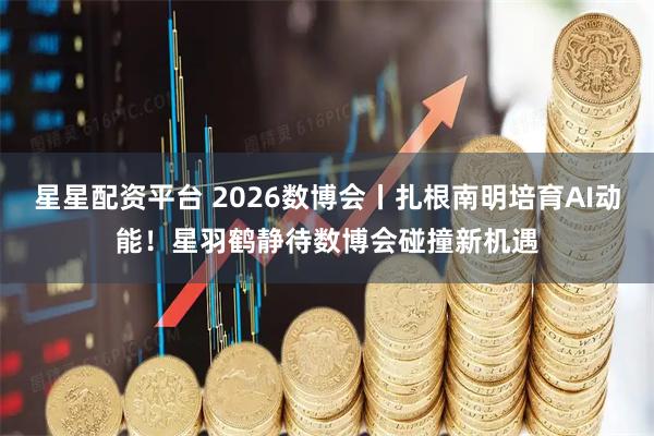星星配资平台 2026数博会丨扎根南明培育AI动能！星羽鹤静待数博会碰撞新机遇